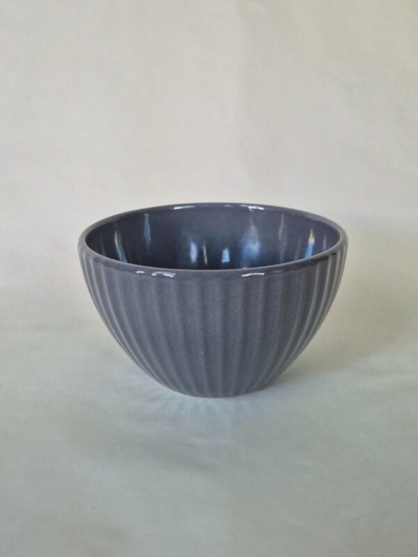 Juego Bowl Terra x3 - Image 2