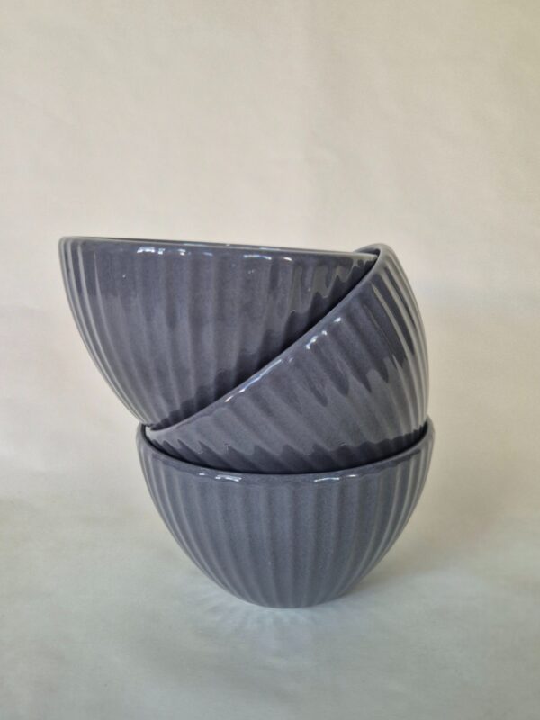 Juego Bowl Terra x3